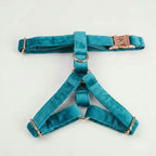 Turquoise Velvet Collection