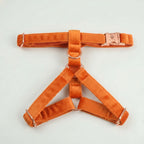 Orange Velvet Collection