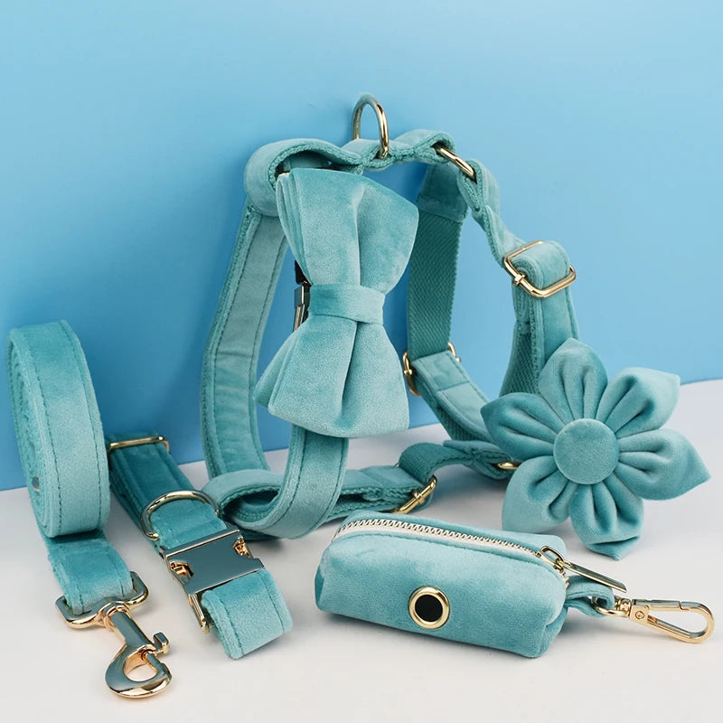 Turquoise Velvet Collection