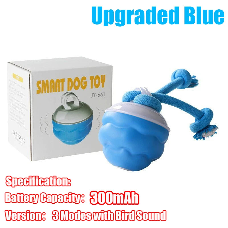 Interactive Rope Dog Toy