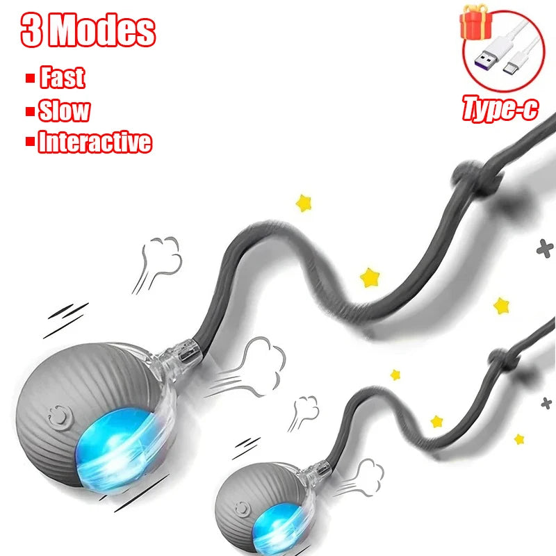 Cat Interactive Ball Toy