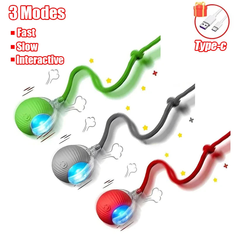 Cat Interactive Ball Toy