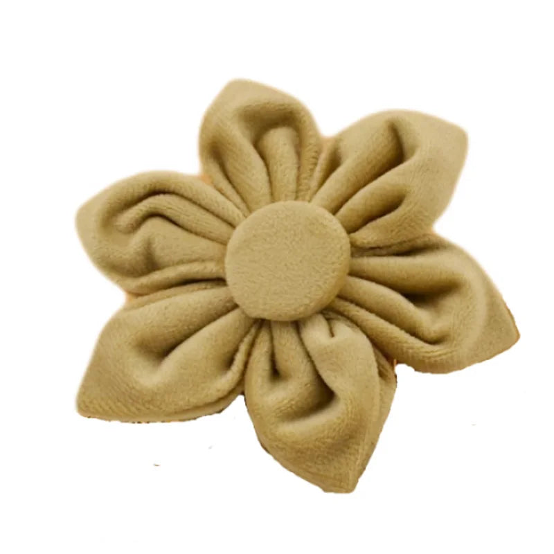 Beige Velvet Collection