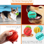 Dog Rubber Toy Ball & Feeder