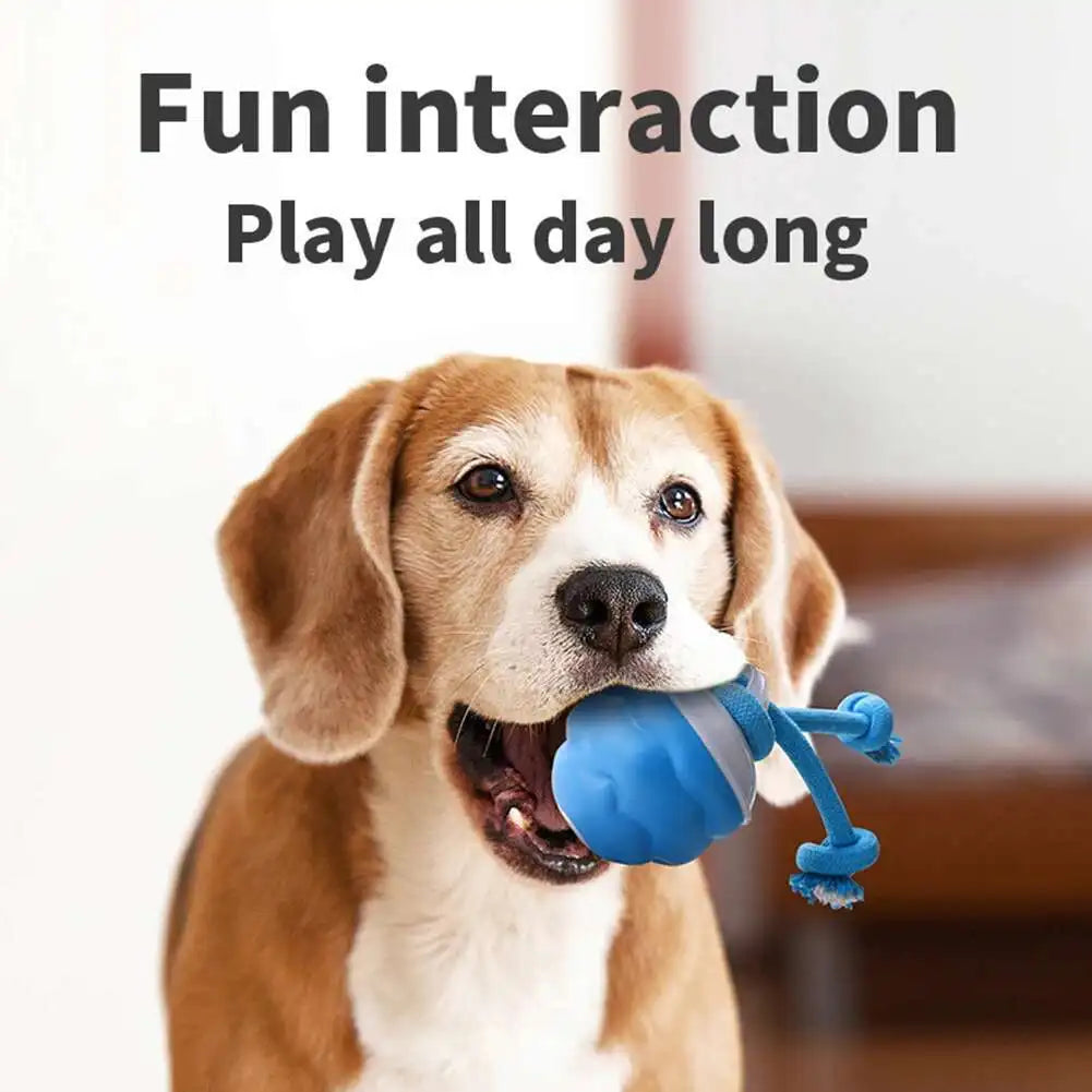 Interactive Rope Dog Toy