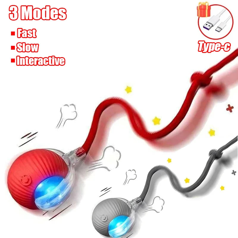 Cat Interactive Ball Toy