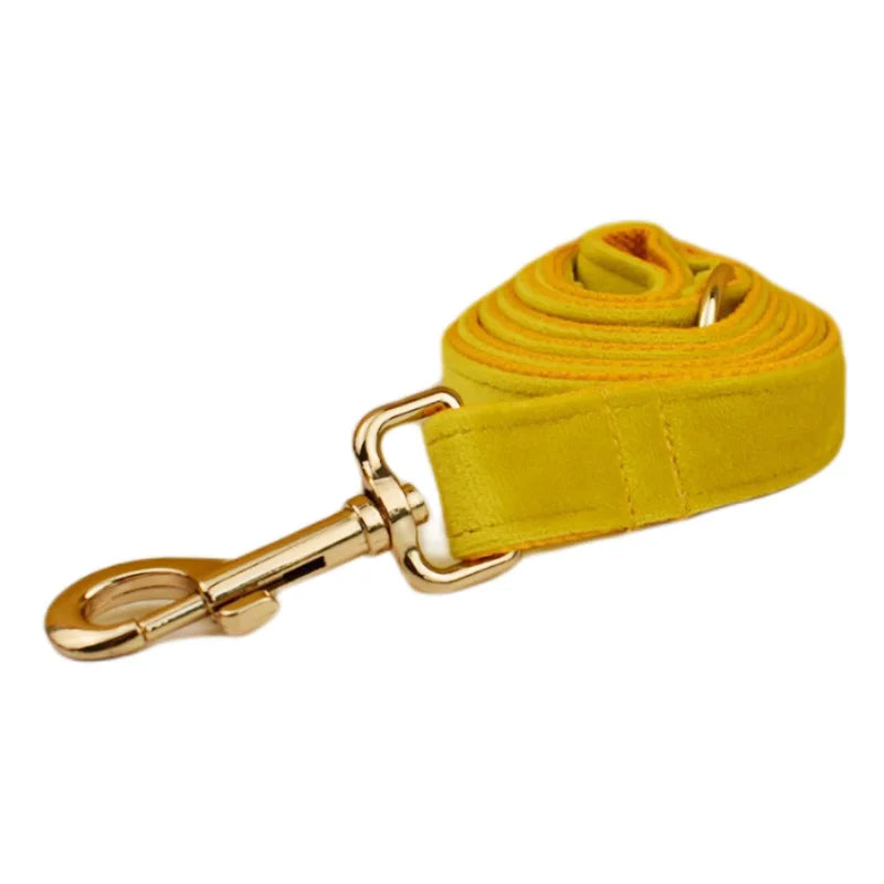 Yellow Velvet Collection
