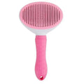 Hair Remover Brush