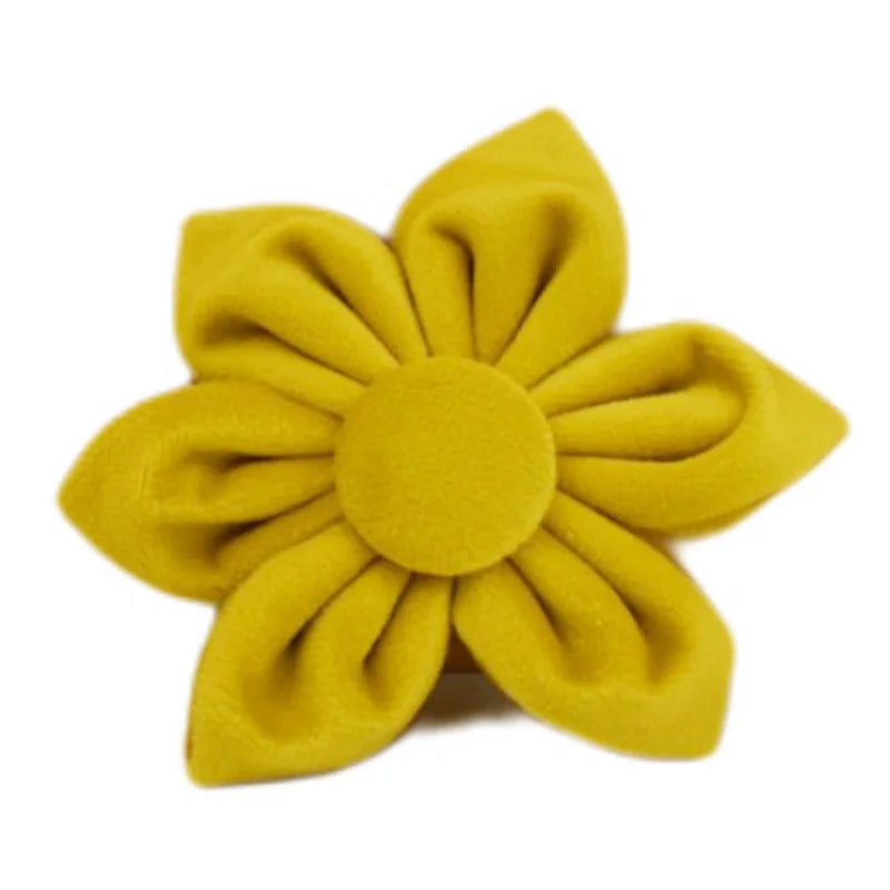 Yellow Velvet Collection