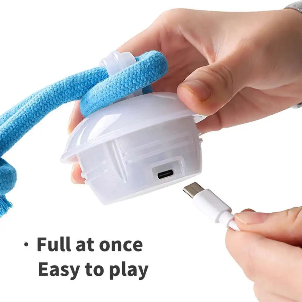 Interactive Rope Dog Toy