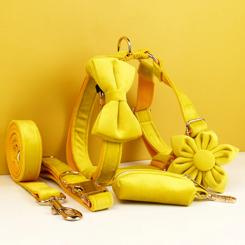 Yellow Velvet Collection
