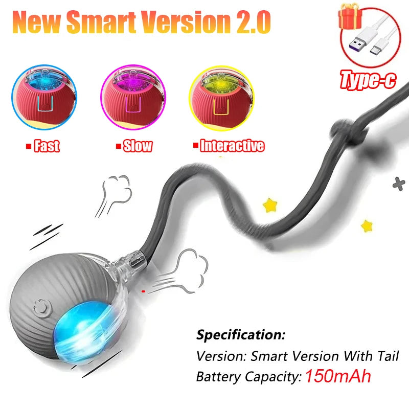 Cat Interactive Ball Toy