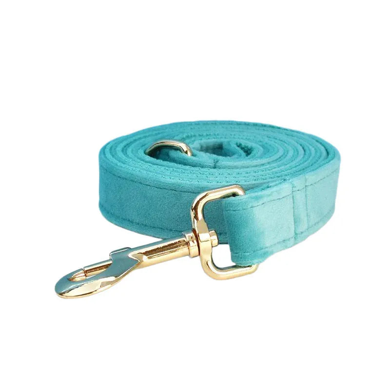Turquoise Velvet Collection