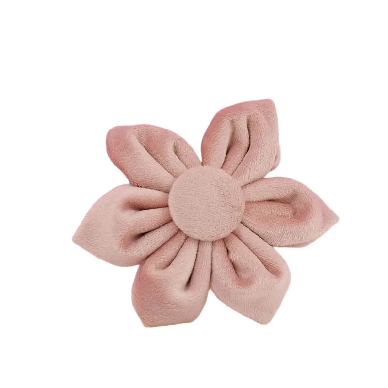 Pale Pink Velvet Collection