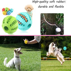 Dog Rubber Toy Ball & Feeder