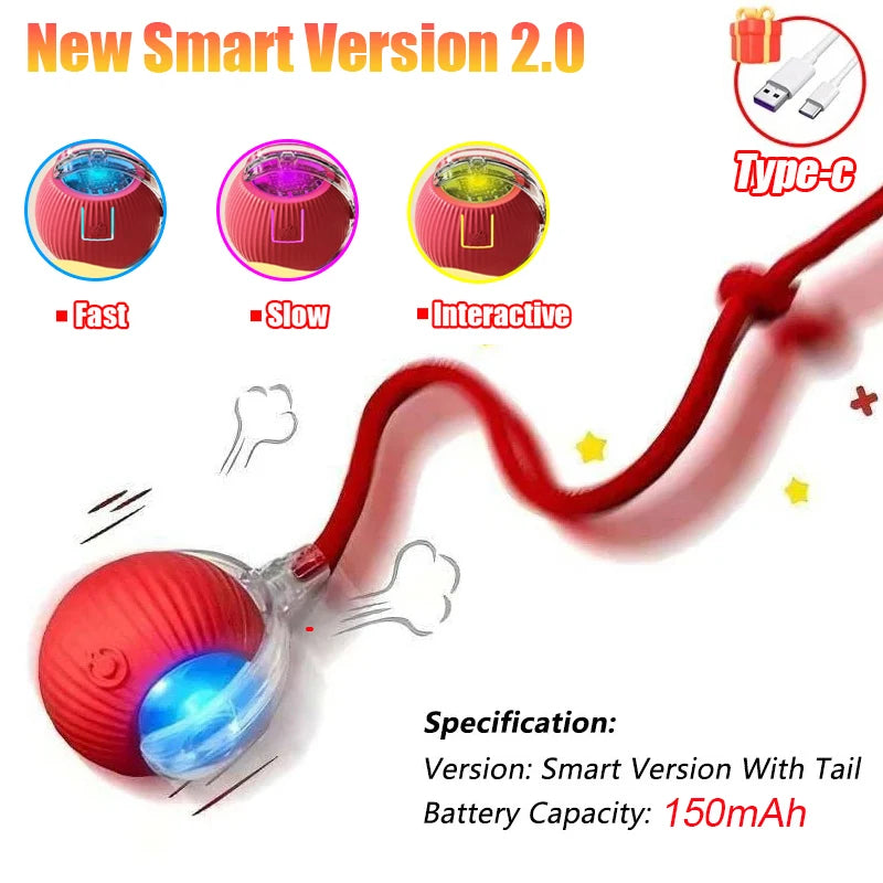 Cat Interactive Ball Toy