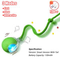 Cat Interactive Ball Toy