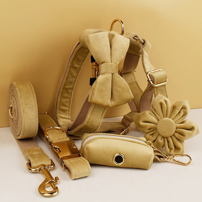 Beige Velvet Collection
