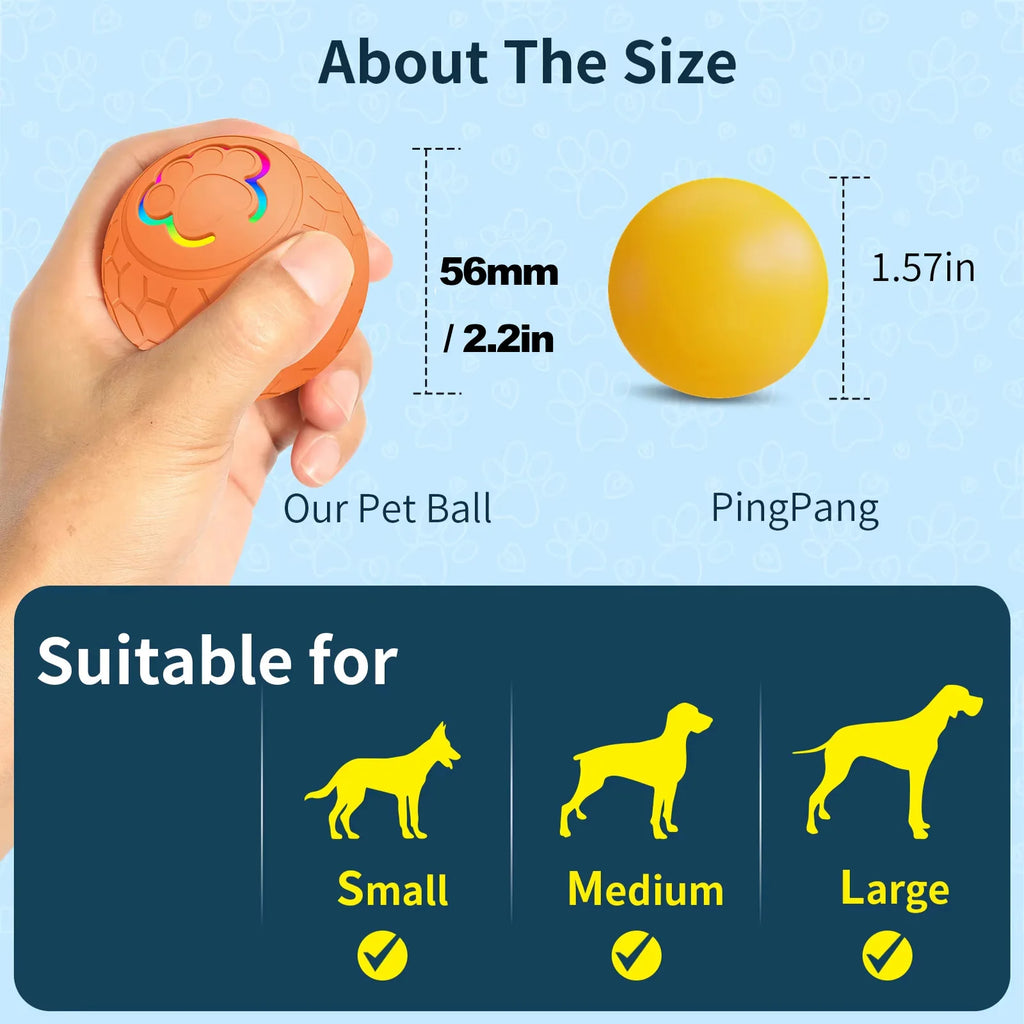 Smart Toy
