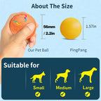 Smart Toy