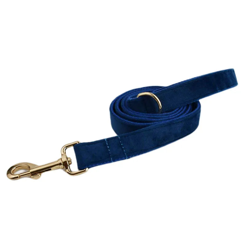 Blue Velvet Collection