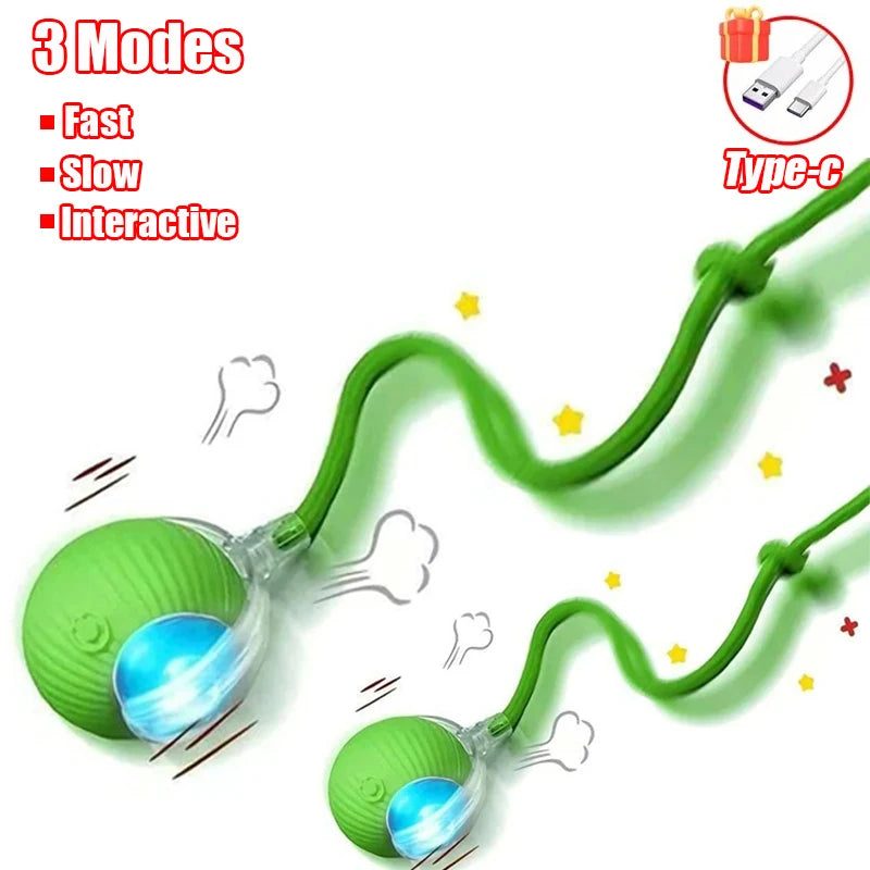 Cat Interactive Ball Toy