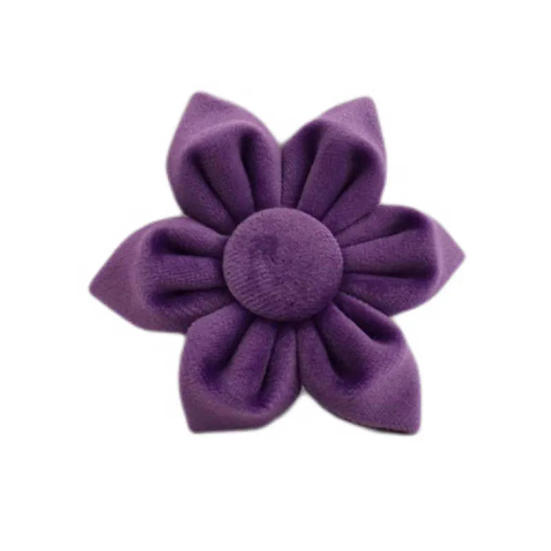 Purple Velvet Collection