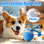 Interactive Rope Dog Toy