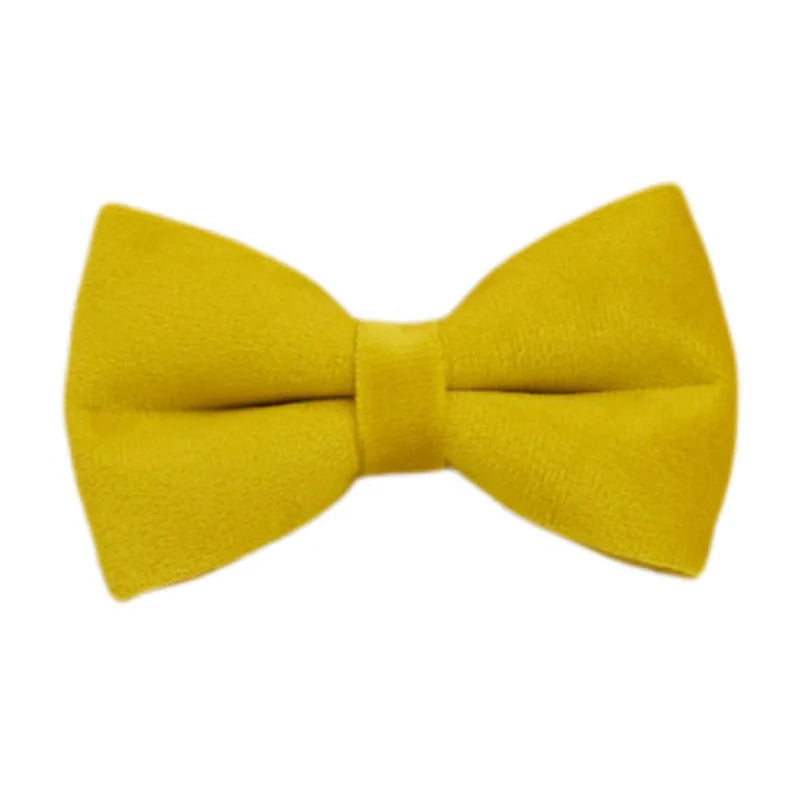 Yellow Velvet Collection