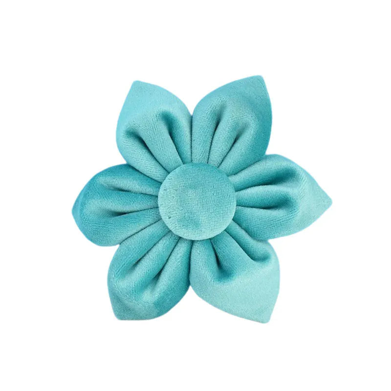 Turquoise Velvet Collection