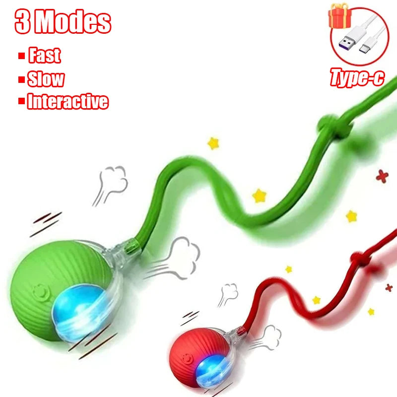 Cat Interactive Ball Toy
