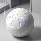 Smart Toy