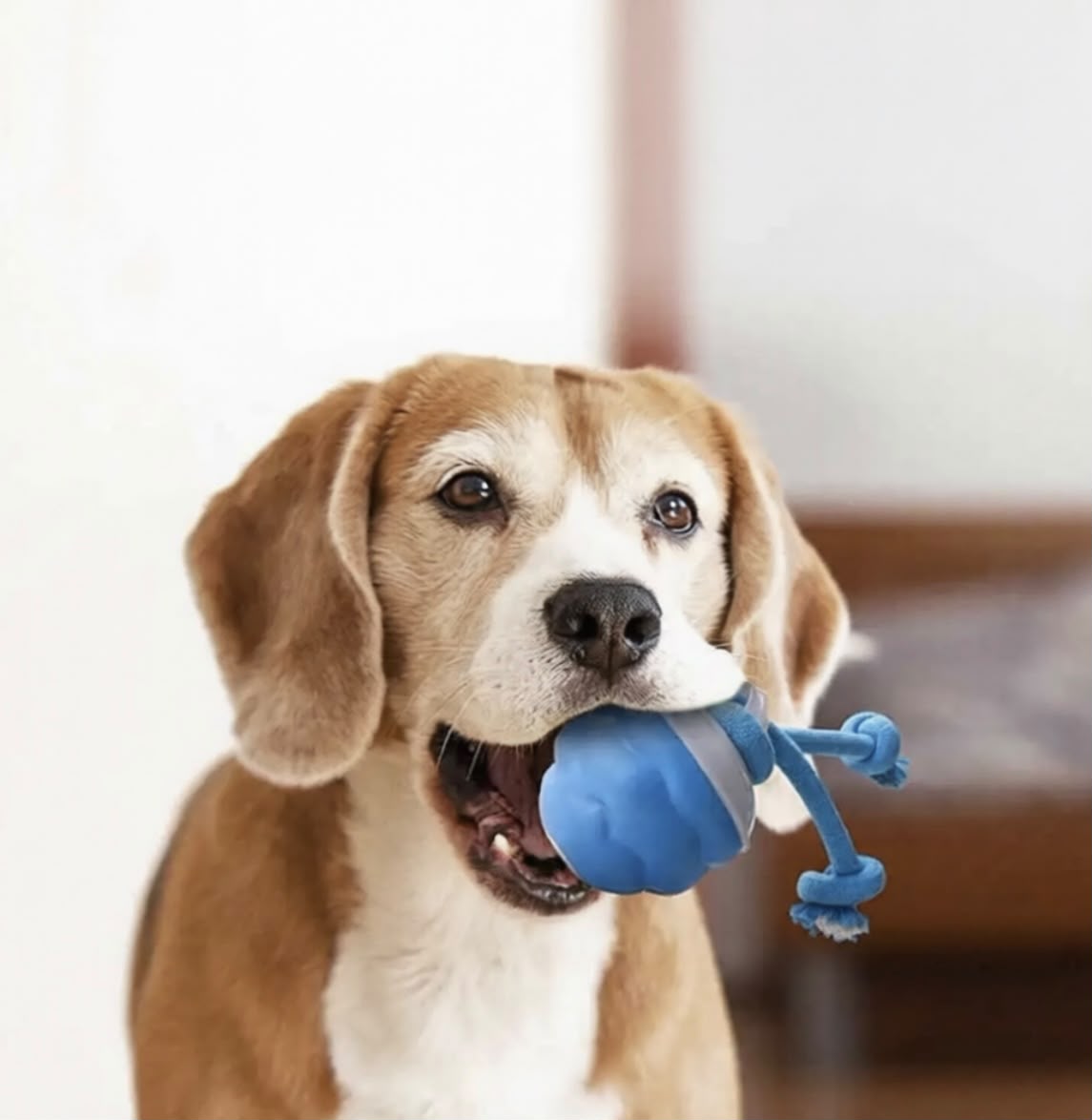 Interactive Rope Dog Toy