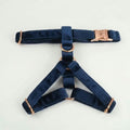 Blue Velvet Collection