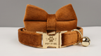 Cat Velvet Collars