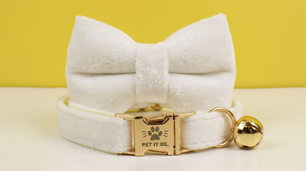 Bright Cat Velvet Collars