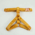 Yellow Velvet Collection