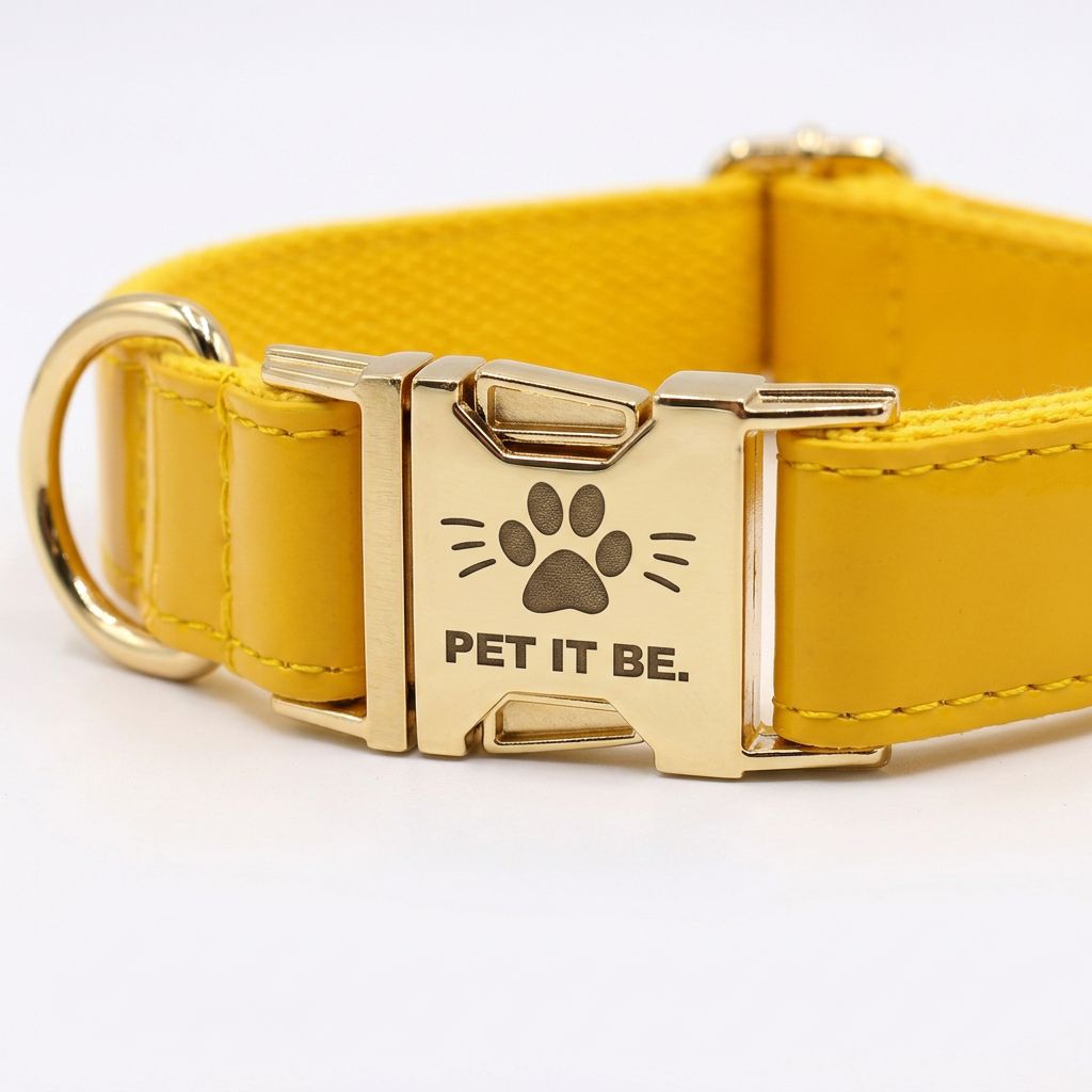 Pawfect Leather Dog Collars